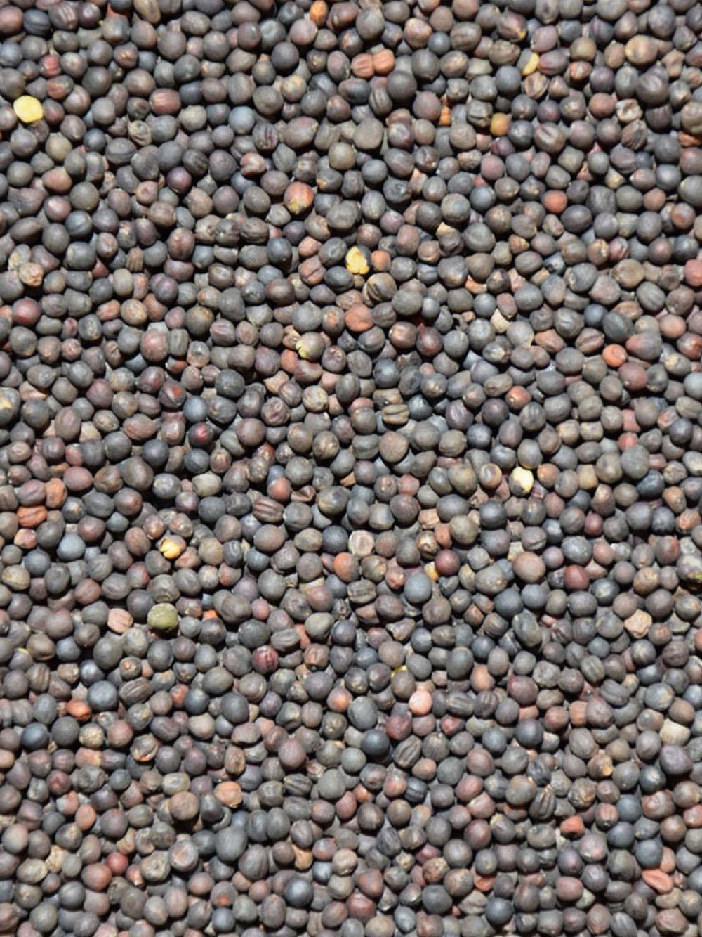 Ethiopian Cabbage